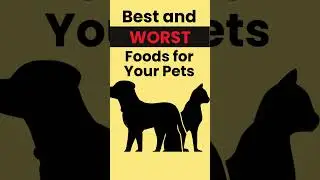 Best and Worst Foods for Your Pets #petfood #petfoods #dogfoods #catfoods