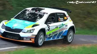 Test Sachsen Rallye | Waldhaus 2018 [HD]