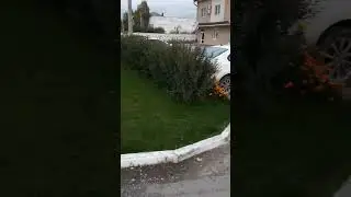 11 ноября 2023 г.