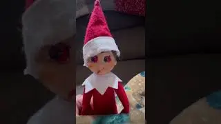 SHARK PUPPETS ELF SLEEPOVER!