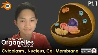 How to make Organelles in Blender Pt 1 Cell Membrane, Cytoplasm, and  Nucleus