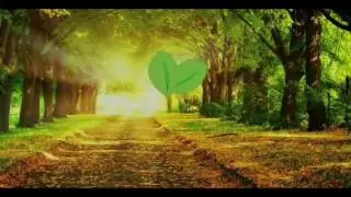 FAE MAGIC Intro animation