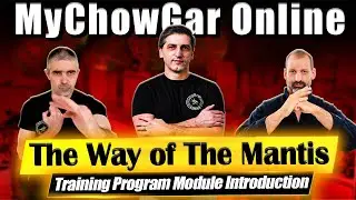 Embrace the Art: 'Way of the Mantis' Module Overview