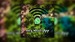 Alkara - Only WhatsApp