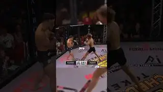 Следующая звезда UFC 