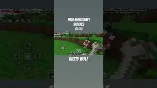 I FOUND THE RUSTY WOLF ON NEARBY SPARSE JUNGLE. 
