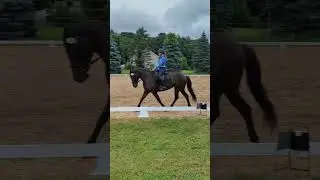 Practice Ride for Second Level test 1.