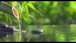 Relaxing Piano Music & Water Sounds  - Ideal for Stress Relief and Healing
