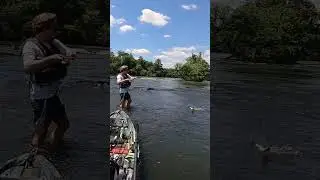 Trick Worm Shoal Bass!! #riverfishing #bassfishing