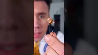 electromagnetic principal 