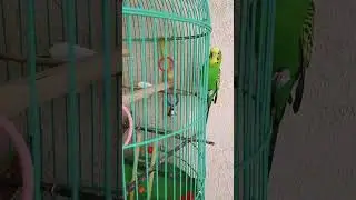 Милка Лунтик видео обзор