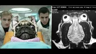 Обзор мемов. Комментирую 2 мема без остановки 5 минут. / Лютые приколы 2021