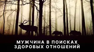 Мужчина в поисках здоровых отношений: (не)гайд для мужчин
