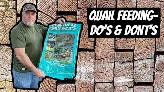 Quail Feeding-Do’s & Dont’s
