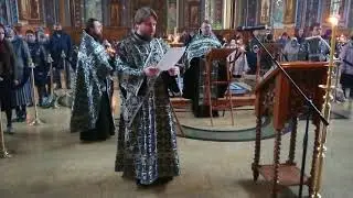 Днесь висит на Древе.. 11.04.21