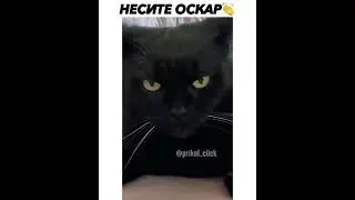 несите Оскар / carry the Oscar