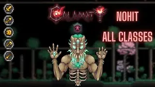 Terraria Calamity: Moon Lord Master Death Mode No Hit All Classes