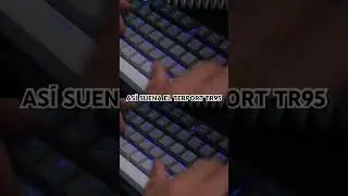 Estos switches rojos suenan sabroso! Toco revisar el terport tr95 