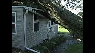 CollinsWindDamage ABC27