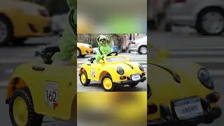 My dog has a MASSIVE car collection! #ytshorts #shorts #pets #dog #shihtzu #car