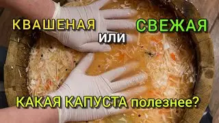 Польза  квашеной капусты.