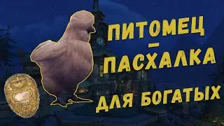 [WoW] Секретный питомец пасхалка для толстосумов Battle for Azeroth