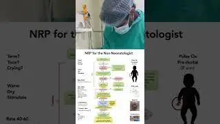 Neonatal Resuscitation