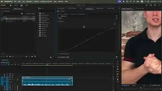 VIDEOBEARBEITUNG FÜR ANFÄNGER - Macht der Kurven in Lumetri Color-Fenster - Premiere Pro