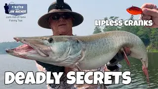 Deadly SECRETS of Lipless Cranks