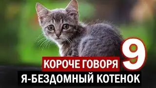 КОРОЧЕ ГОВОРЯ,Я БЕЗДОМНЫЙ КОТЕНОК 9 [От первого лица] ИСТОРИЯ ОДНОЙ ЖИЗНИ. Я БЕЗДОМНЫЙ ЩЕНОК