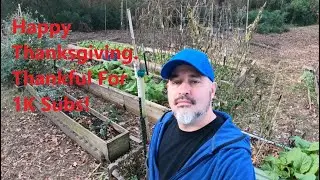 Happy Thanksgiving, Garden Planning, and Week 45