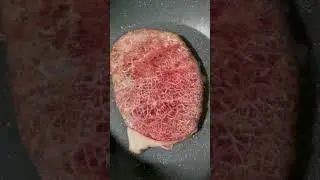 meat melted