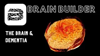 The Brain and Dementia | Real Anatomy
