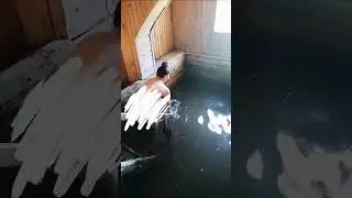 Нашли старинные монеты 👍