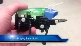 Birthday Party Robots - Robo-Bug by Smart Lab