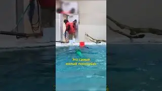 😍Помогает Убирать Бассейн👍🏽