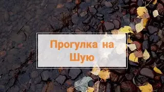 Осенняя Карелия. Прогулка на Шую.