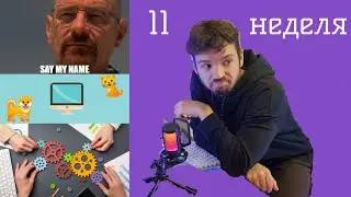 Работа в IT. 11 неделя. Pet-проект. Общение в команде. Уважение в IT.