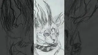 Rysuję kolejnego kotka Fantasy #cat #fantasy #shorts #rysunek