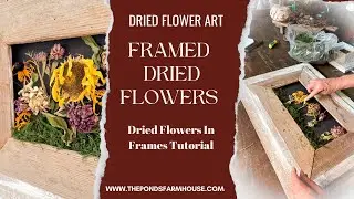 How To Create Framed Dried Flowers Wall Art