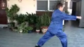 鷹爪五十路連拳 50 Sequences of Eagle Claw Kung Fu