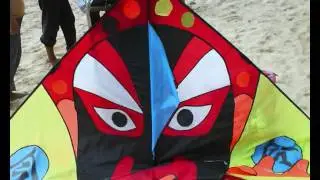 2 Mangust 2010 в МГФСО - подарок Ирине Винер.wmv