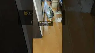 Укладка ламината на старый пол 