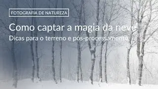 Como captar a Magia da neve | FOTOGRAFIA DE NATUREZA