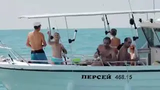Наш солнечный дом 