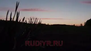 Лесной воркаут: 200 приседаний на одной ноге