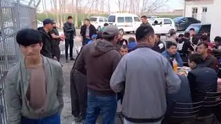 Open budjetga ovoz yigʻganlarga osh tarqatilmoqda