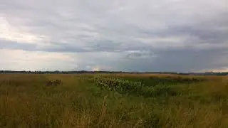 VID 20220713 142928