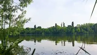 Звуки озера в парке для расслабления и медитации, успокоения