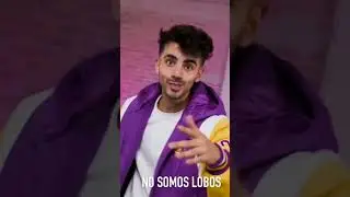 #fedevigevani